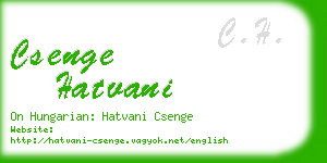 csenge hatvani business card